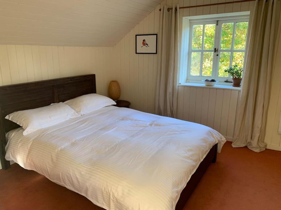 Trinity Annexe An Adorable First Floor Light And Lofty Space Within An Aonb Godmanstone Eksteriør billede
